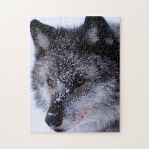 Le visage du loup, puzzle