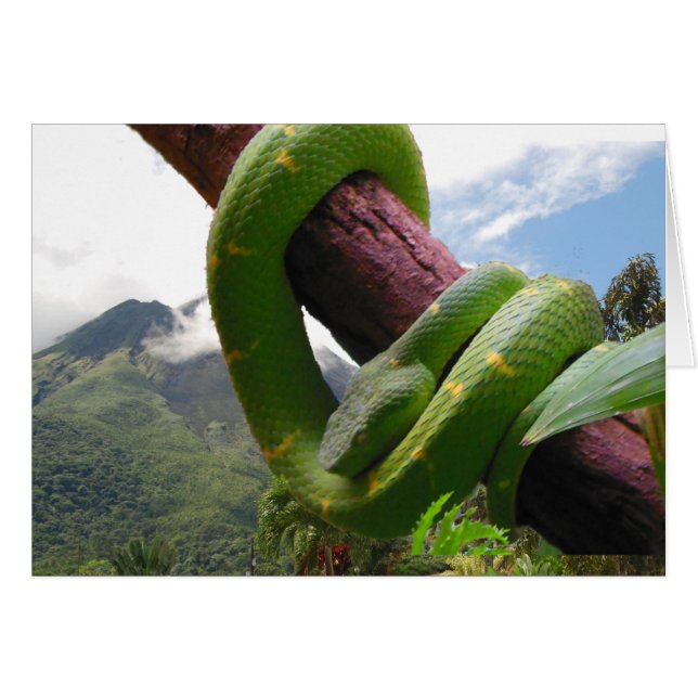 Le volcan et le serpent du Costa Rica (Devant horizontal)