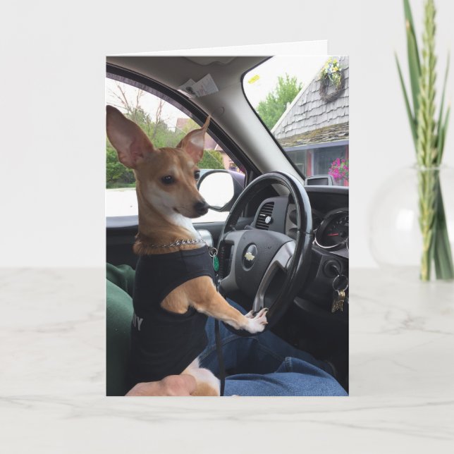 Le voyage du chien de la vie - carte de voeux (Devant)
