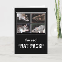 Le vrai "PAQUET de RAT !" - carte de voeux de rat