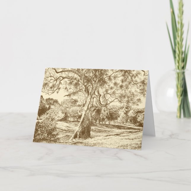 Le Winnie le Pooh Tree - Carte de remerciements (Devant)