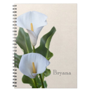 Le zantedeschia fleurit le journal élégant floral