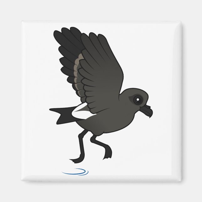 Leach's Storm Petrel (flutter) Magnet (Vorne)