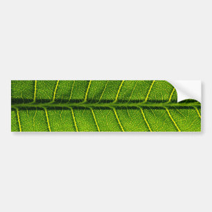 Leaf Autoaufkleber