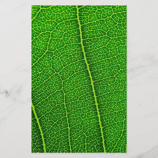 Leaf Briefpapier (Vorderseite)