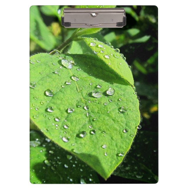 Leaf Clipboard Klemmbrett (Vorderseite)