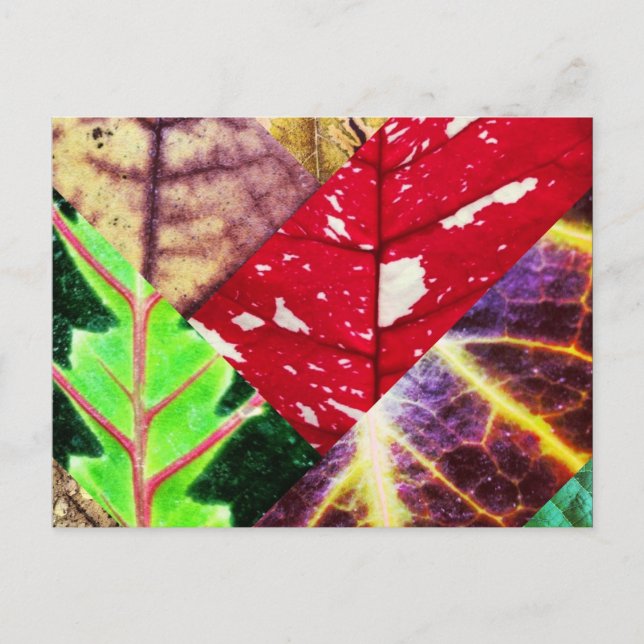 Leaf Collage Postcard Postkarte (Vorderseite)