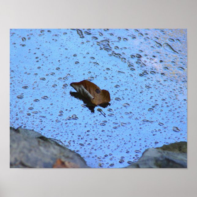 Leaf Foto Poster (Vorne)