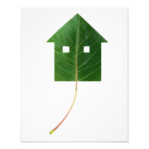Leaf Fotodruck