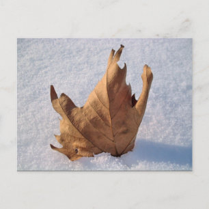 Leaf im Schnee, wenn der Herbst auf den Winter tri Postkarte