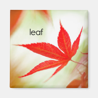 Leaf Kühlschrank Magnet