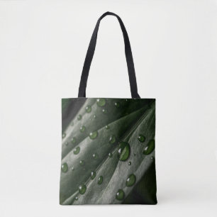 Leaf Pflanze Textur Tropfen Wasser Tasche