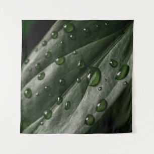 Leaf Pflanze Textur Tropfen Wasser Wandteppich