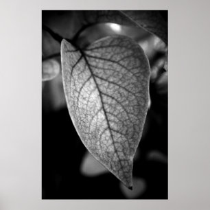 Leaf Poster