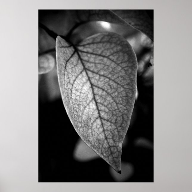 Leaf Poster (Vorne)