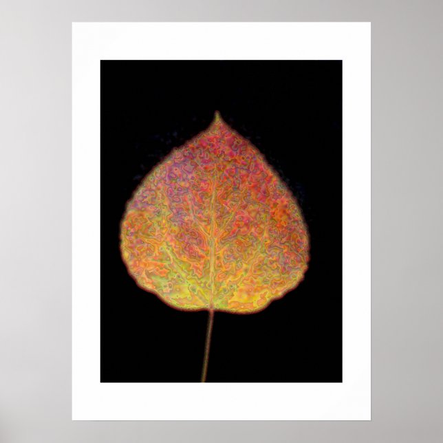 Leaf Poster (Vorne)