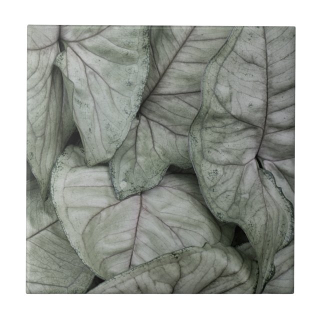 Leaf Print Fliese (Vorderseite)