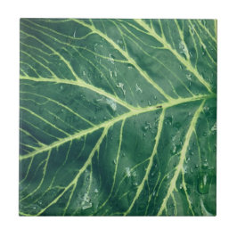 Leaf Print Fliese