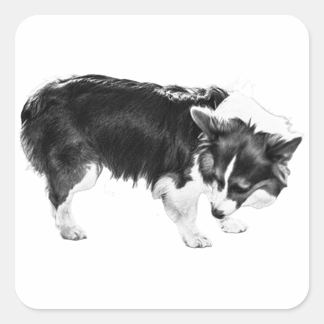 Leaf-Shadow Nosework Quadratischer Aufkleber (Vorderseite)