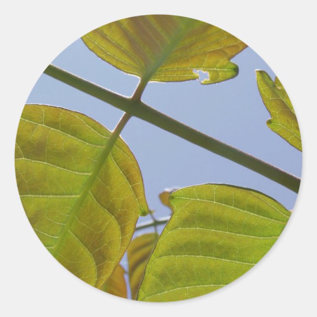 Leaf Stickers (Vorderseite)