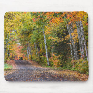 Leaf-Straße mit Herbstfarbe Mousepad