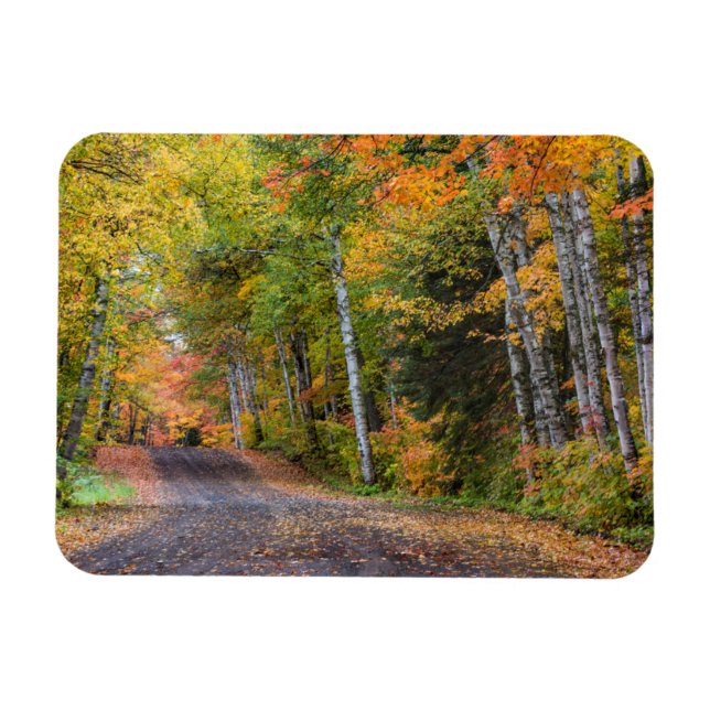 Leaf Streckenschotterstraße mit Herbstfarbe Magnet (Horizontal)