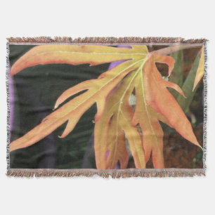 Leaf-Studie 2 Decke