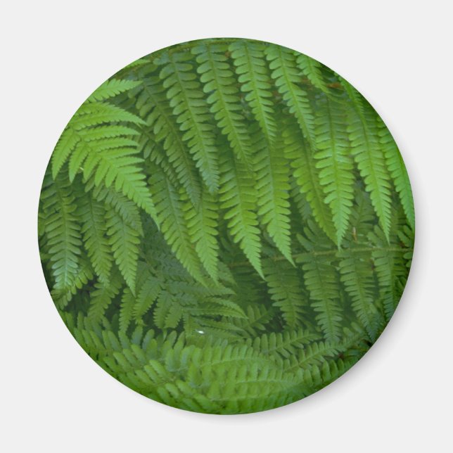 Leaf- und Blume Magnet (Vorne)
