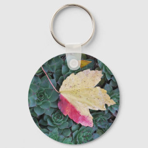 Leaf und Sukkuline Schlüsselanhänger mit Weave Gem