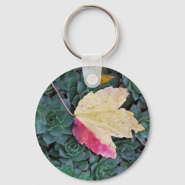 Leaf und Sukkuline Schlüsselanhänger mit Weave Gem (Vorderseite)