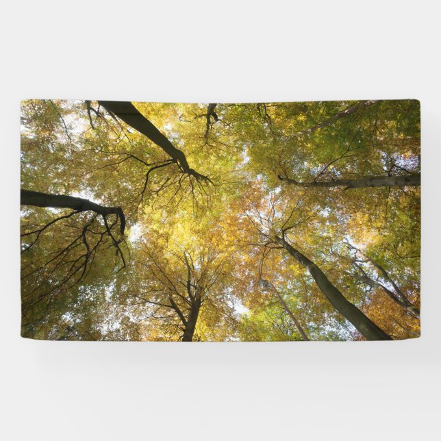 Leafy Canopy Banner (Horizontal)