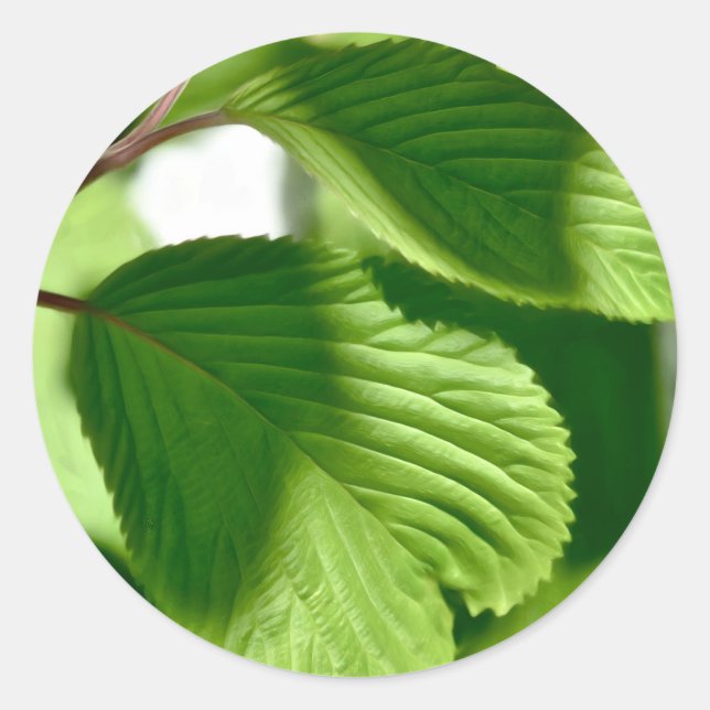 Leafy Green Runder Aufkleber (Vorderseite)