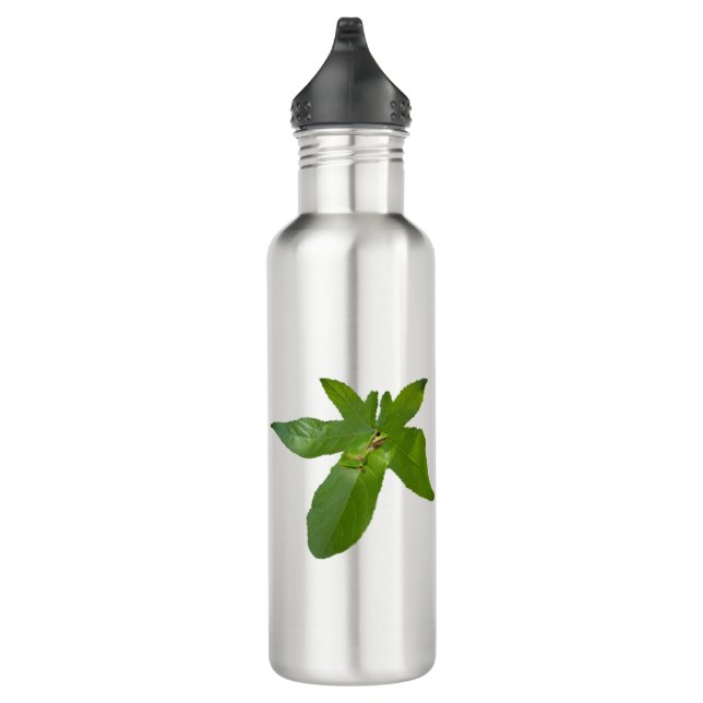 "Leafy Haven: Ein kleiner grüner Frosch auf einem  Edelstahlflasche (Rechts)