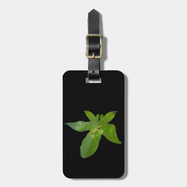 "Leafy Haven: Ein kleiner grüner Frosch auf einem  Gepäckanhänger (Vorderseite vertikal)