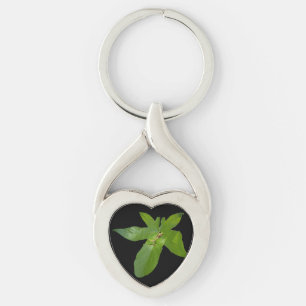 "Leafy Haven: Ein kleiner grüner Frosch auf einem Schlüsselanhänger
