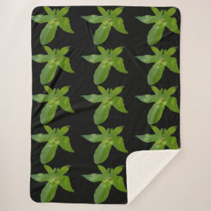 "Leafy Haven: Ein kleiner grüner Frosch auf einem  Sherpadecke
