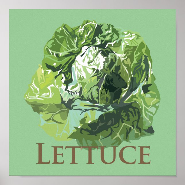 Leafy Lettuce Poster (Vorne)