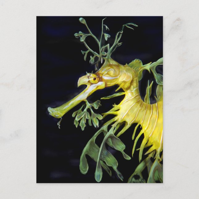 Leafy Sea Dragon Postkarte (Vorderseite)