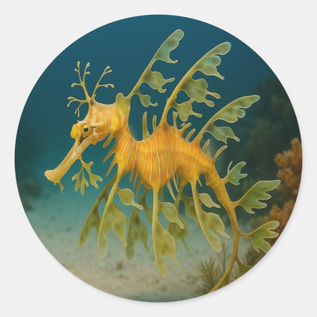 Leafy Sea Dragon Runder Aufkleber (Vorderseite)