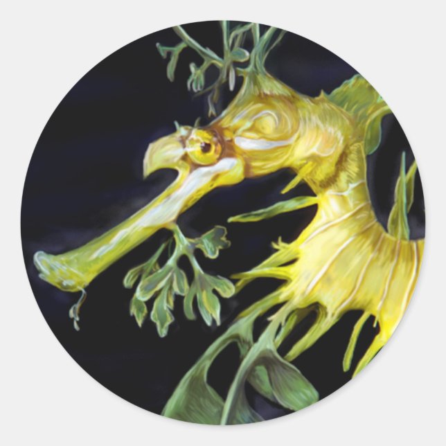 Leafy Sea Dragon Runder Aufkleber (Vorderseite)