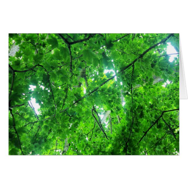 Leafy Tree (Vorderseite (Horizontal))