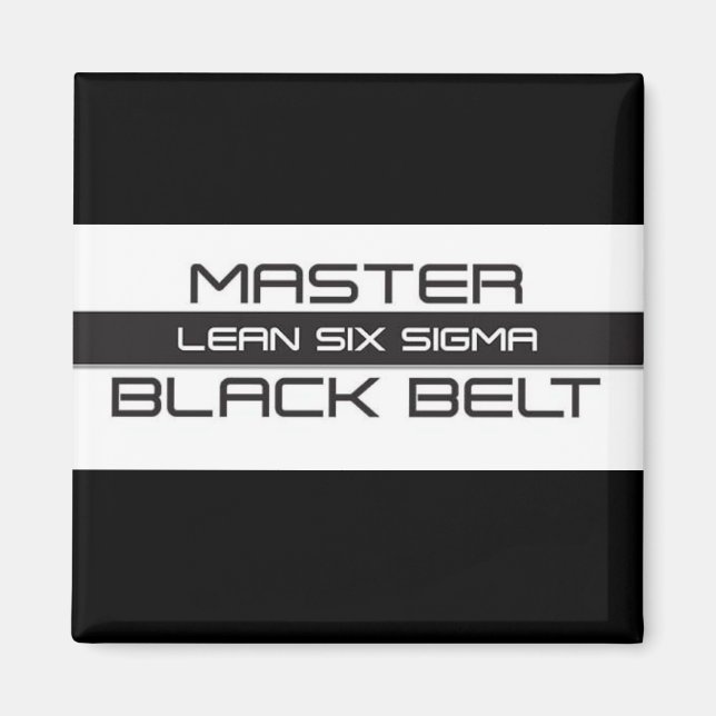 Lean Six Sigma Master Black Belt Magnet (Vorne)