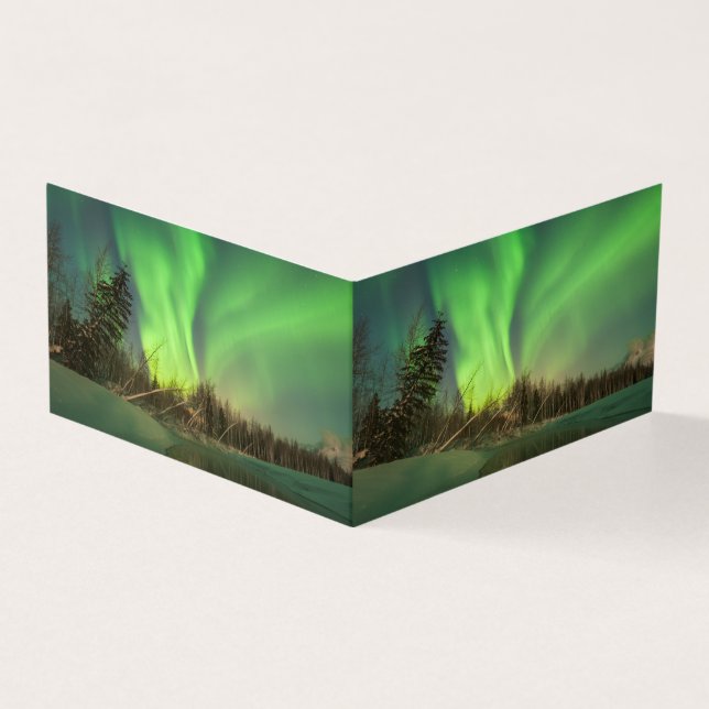 Leaning Spruce Aurora (Vorderseite)
