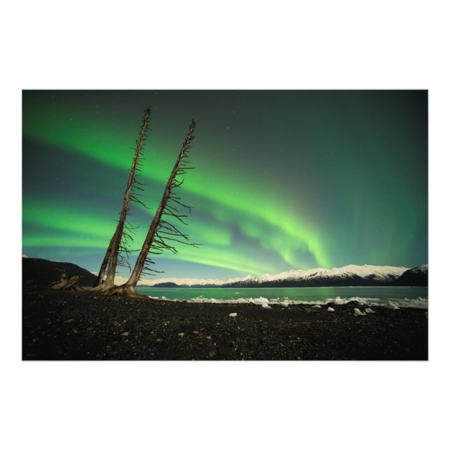 Leaning Tree Aurora Fotodruck (Vorne)