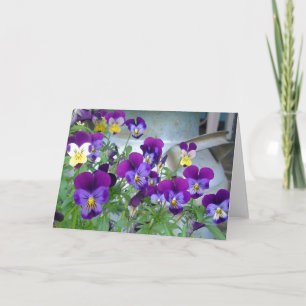 LeAnns Violetkarte Karte