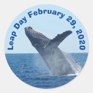 Leap Day 29. Februar 2020 Runder Aufkleber