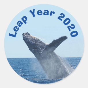 Leap Year 2020 Runder Aufkleber