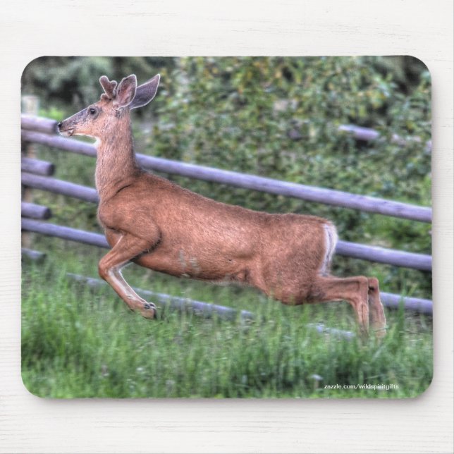 Leaping Deer Buck auf Ranch Wildlife Foto Mousepad (Vorne)