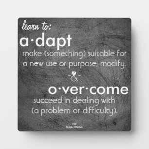 Learn to:adapt & overcome fotoplatte