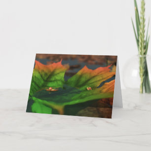 L'Eau Est Grande Carte